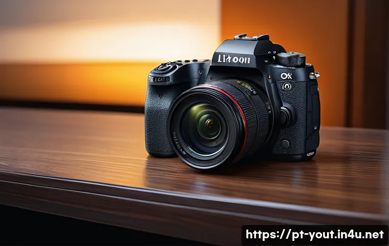 청소년지도사 자격증 재발급 방법 관련 이미지 1